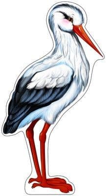  ..9177 -    , , 4607091440508, 