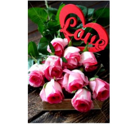   "  " (ML) -    , , 4665303201781, 