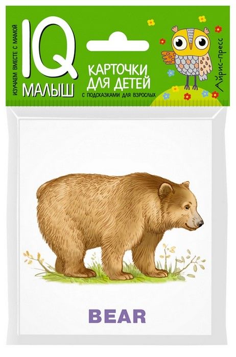 Умный малыш. ENGLISH. Зоопарк - купить в магазине Кассандра, 9785811266111,  Умный малыш. ENGLISH. Зоопарк - купить в магазине Кассандра, фото, 9785811266111,