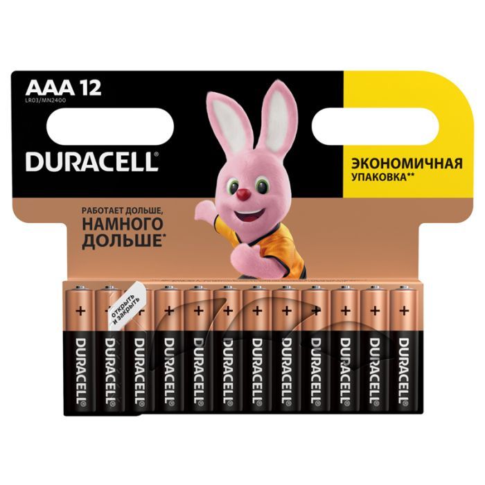  Duracell Basic AAA (LR03) , 12BL -    , , 2500038095019, 