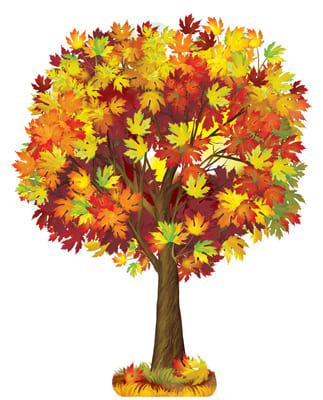   3  .  .  -    , , 4630112035643, 