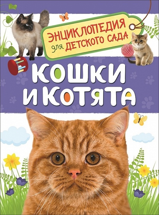 Кошки и котята (Энциклопедия для детского сада) - купить в магазине Кассандра, 9785353087762,  Кошки и котята (Энциклопедия для детского сада) - купить в магазине Кассандра, фото, 9785353087762,