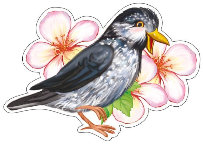   4.  (   ) -    , , 4630076996868, 