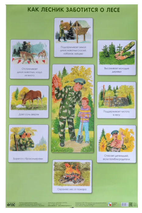       -    , , 9785431506376, 