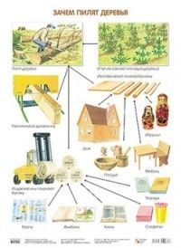     -    , , 9785431506352, 