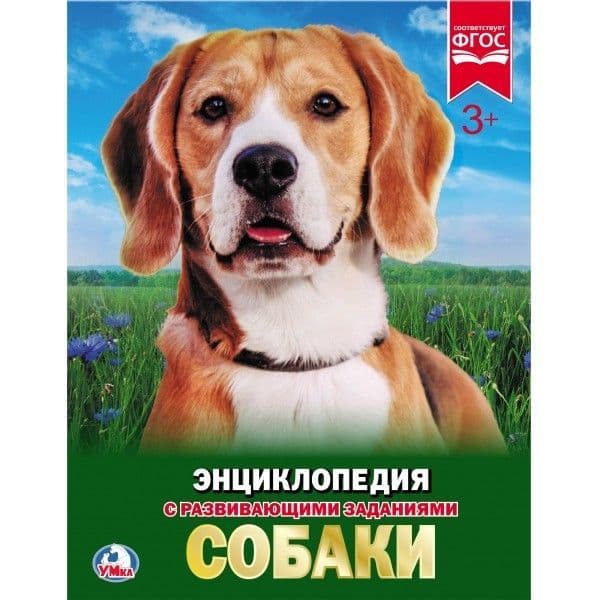 . -    , , 9785506023364, 