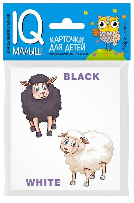  . ENGLISH. . -    , , 9785811266609, 