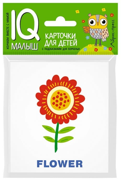 Умный малыш. ENGLISH. Растения - купить в магазине Кассандра, 9785811257218,  Умный малыш. ENGLISH. Растения - купить в магазине Кассандра, фото, 9785811257218,