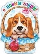  .   .10864 -    , , 4607091440508, 