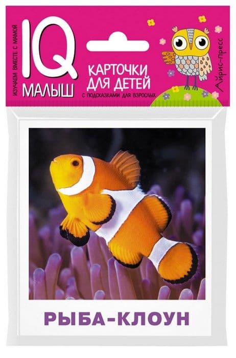  .     -    , , 9785811264902, 