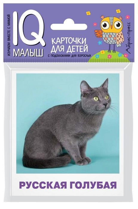  .       -    , , 9785811268047, 