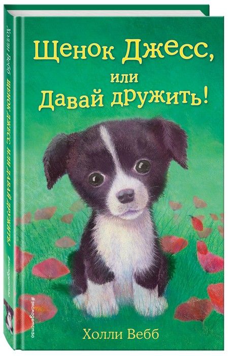 ����� �����, ��� ����� �������! - ������ � �������� ���������, ����, 9785699681594, 