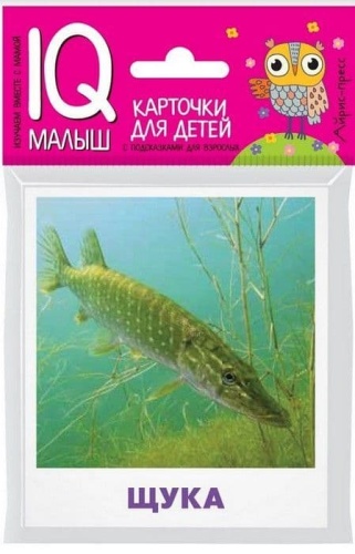 Умный малыш. Пресноводные рыбы. Набор карточек для детей.- купить в магазине Кассандра, фото, 9785811265053, 