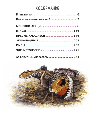 Все животные с крупными буквами- купить в магазине Кассандра, фото, 9785699909131, 