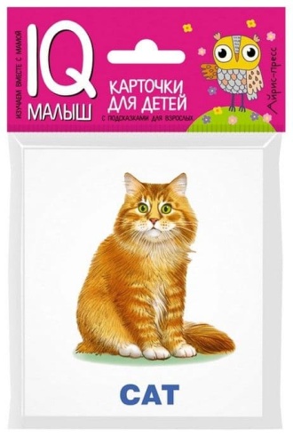 Умный малыш. ENGLISH. Домашние питомцы. Набор карточек для детей.- купить в магазине Кассандра, фото, 9785811266630, 