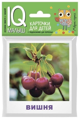 Умный малыш. Что растет в саду? Набор карточек для детей.- купить в магазине Кассандра, фото, 9785811264896, 