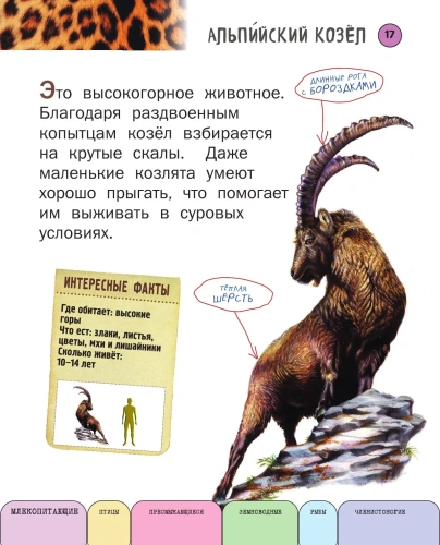 Все животные с крупными буквами- купить в магазине Кассандра, фото, 9785699909131, 