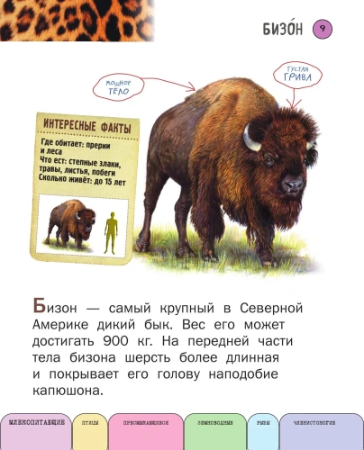 Все животные с крупными буквами- купить в магазине Кассандра, фото, 9785699909131, 