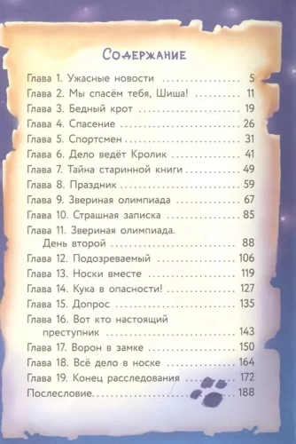 Фу-Фу и Кис-Кис. Носки врозь!- купить в магазине Кассандра, фото, 9785171495947, 