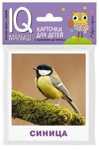 Умный малыш. Птицы- купить в магазине Кассандра, фото, 9785811264919, 