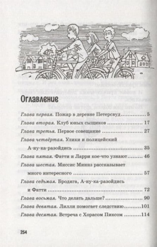Тайна сгоревшего коттеджа. Кн.1- купить в магазине Кассандра, фото, 9785389158894, 