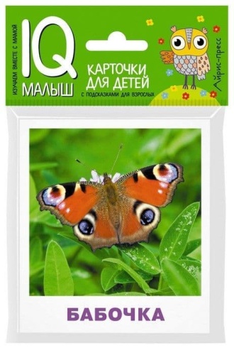 Умный малыш. Насекомые. Набор карточек для детей.- купить в магазине Кассандра, фото, 9785811265046, 