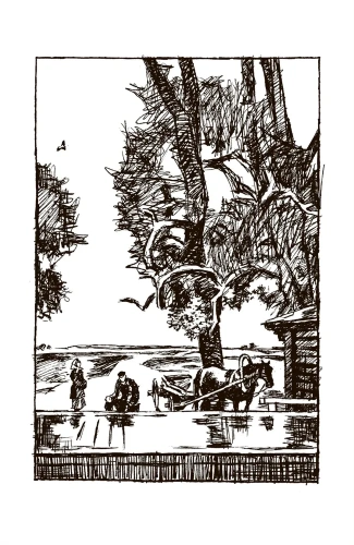 Осень в дубовых лесах. Рассказы.- купить в магазине Кассандра, фото, 9785907546455, 