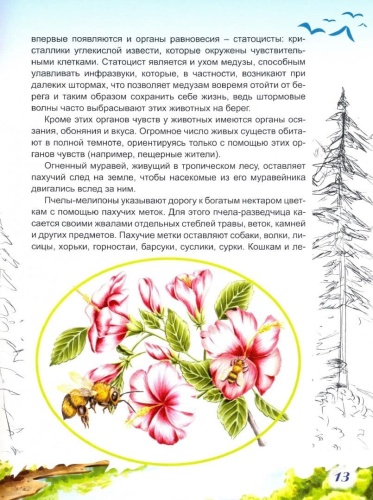 Летят перелетные птицы- купить в магазине Кассандра, фото, 9785001610359, 