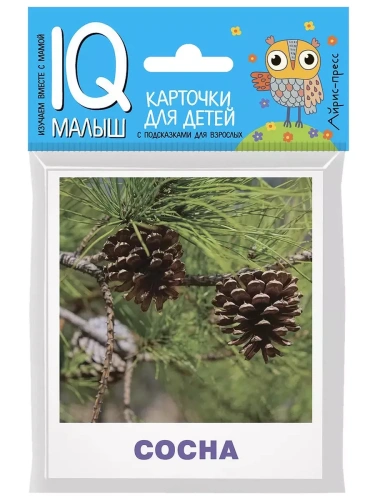 Умный малыш. Деревья- купить в магазине Кассандра, фото, 9785811265060, 