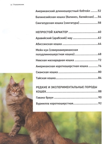 Все породы кошек. Большая иллюстрированная энциклопедия- купить в магазине Кассандра, фото, 9785041130619, 
