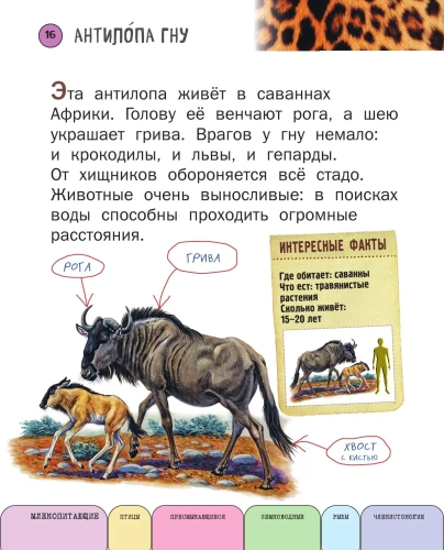 Все животные с крупными буквами- купить в магазине Кассандра, фото, 9785699909131, 