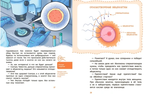 Откуда берутся дети. Детская энциклопедия (Чевостик)- купить в магазине Кассандра, фото, 9785001956693, 