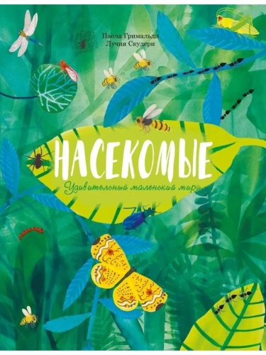 Насекомые. Удивительный маленький мир- купить в магазине Кассандра, фото, 9785995155324, 