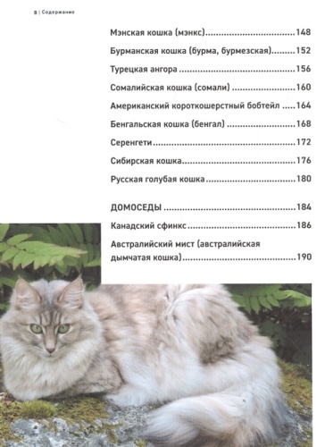Все породы кошек. Большая иллюстрированная энциклопедия- купить в магазине Кассандра, фото, 9785041130619, 
