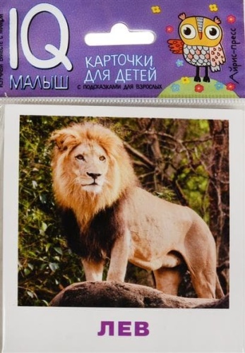 Умный малыш. Животные жарких стран. Набор карточек для детей.- купить в магазине Кассандра, фото, 9785811264476, 