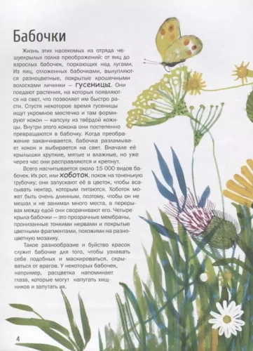 Насекомые. Удивительный маленький мир- купить в магазине Кассандра, фото, 9785995155324, 