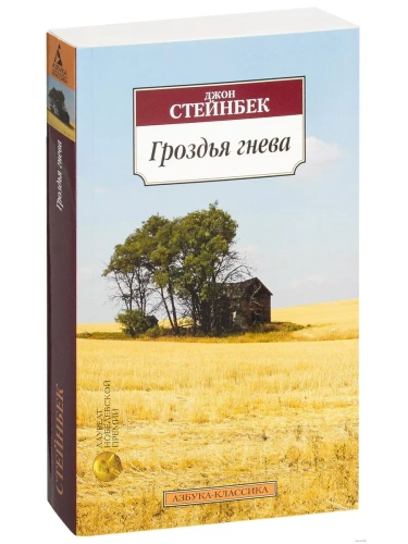 Гроздья гнева (мягк/обл.)- купить в магазине Кассандра, фото, 9785389049949, 