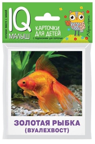 Умный малыш. Аквариумные рыбы. Набор карточек для детей.- купить в магазине Кассандра, фото, 9785811267088, 