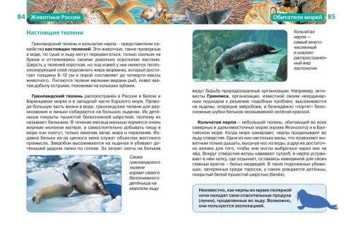 Животные России- купить в магазине Кассандра, фото, 9785353057475, 