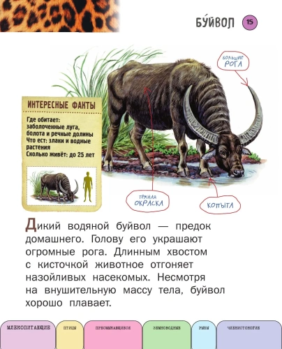 Все животные с крупными буквами- купить в магазине Кассандра, фото, 9785699909131, 