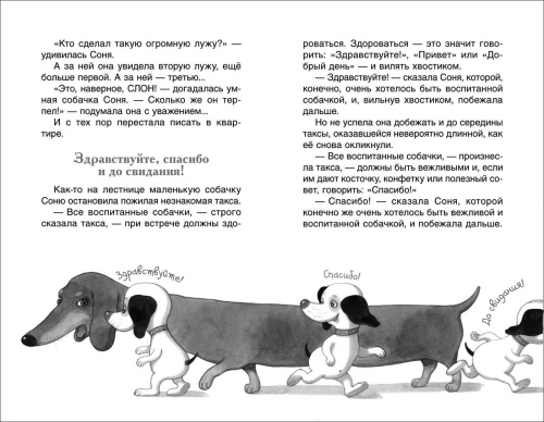 Умная и знаменитая собачка Соня- купить в магазине Кассандра, фото, 9785353094289, 