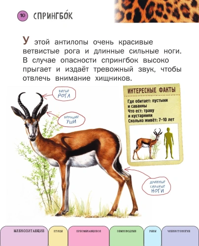 Все животные с крупными буквами- купить в магазине Кассандра, фото, 9785699909131, 