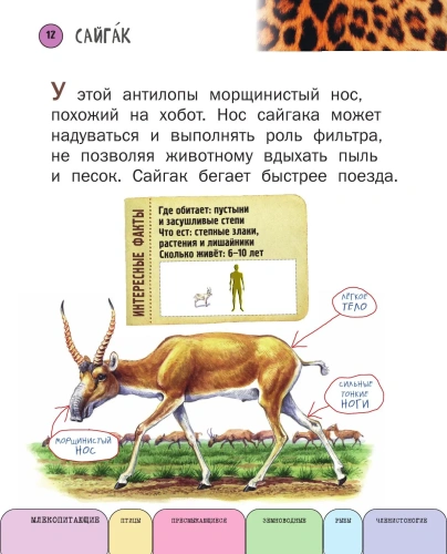 Все животные с крупными буквами- купить в магазине Кассандра, фото, 9785699909131, 