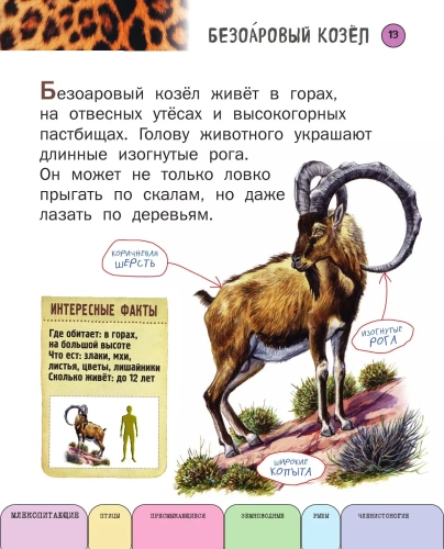 Все животные с крупными буквами- купить в магазине Кассандра, фото, 9785699909131, 