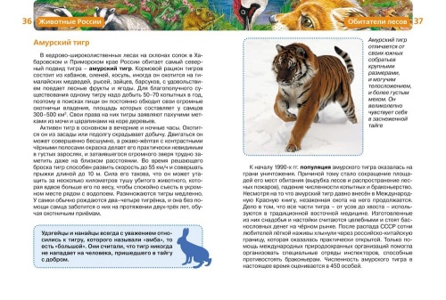 Животные России- купить в магазине Кассандра, фото, 9785353057475, 