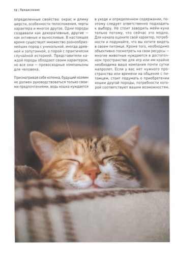 Все породы кошек. Большая иллюстрированная энциклопедия- купить в магазине Кассандра, фото, 9785041130619, 