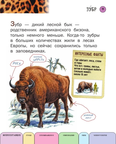 Все животные с крупными буквами- купить в магазине Кассандра, фото, 9785699909131, 