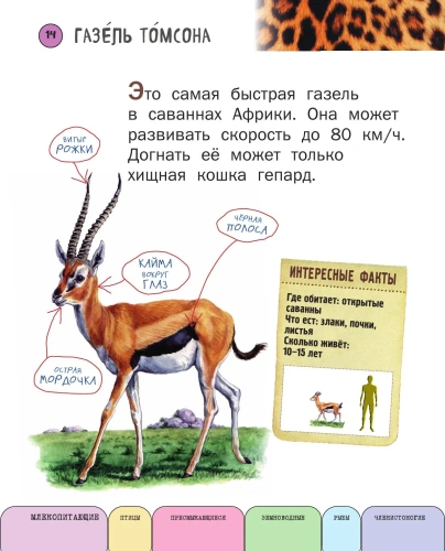 Все животные с крупными буквами- купить в магазине Кассандра, фото, 9785699909131, 