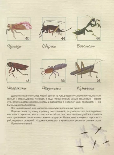 Насекомые. Удивительный маленький мир- купить в магазине Кассандра, фото, 9785995155324, 