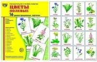 .    .16 .  (173220) -    , , 9785994910207, 